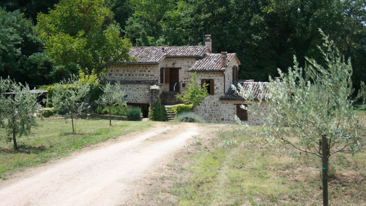 Photo of Others in Collazzone