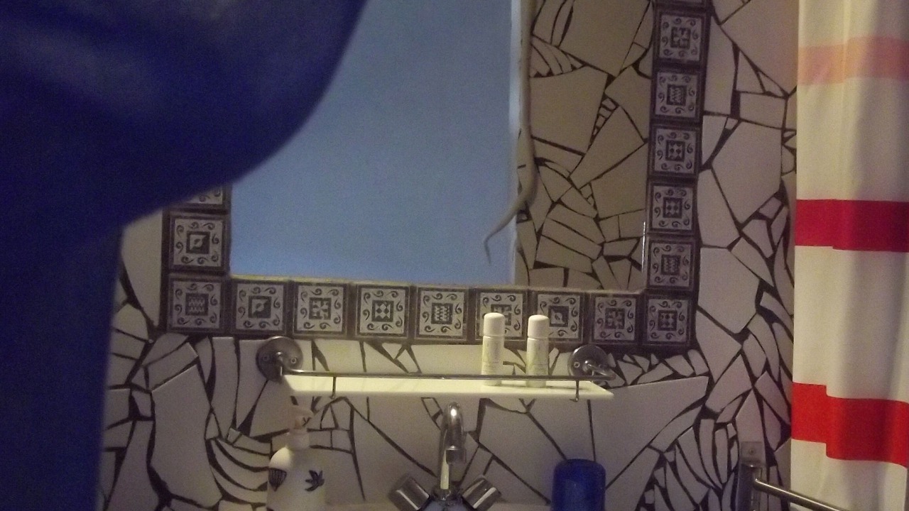 Photo of Bathroom in La Pardina