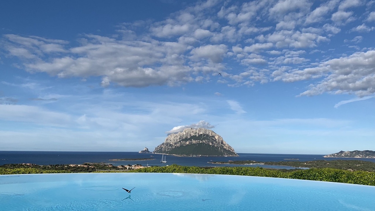Photo of Outdoor in Porto San Paolo