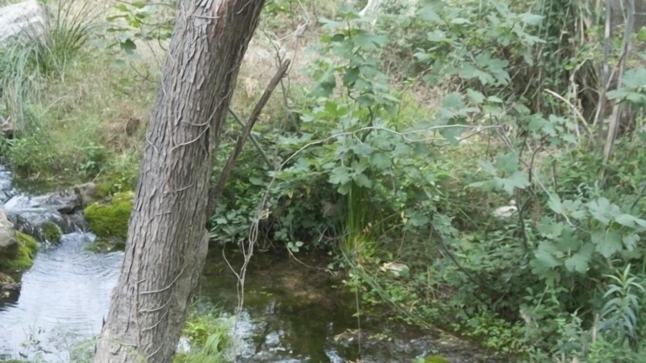 Photo of Outdoor in Pauls