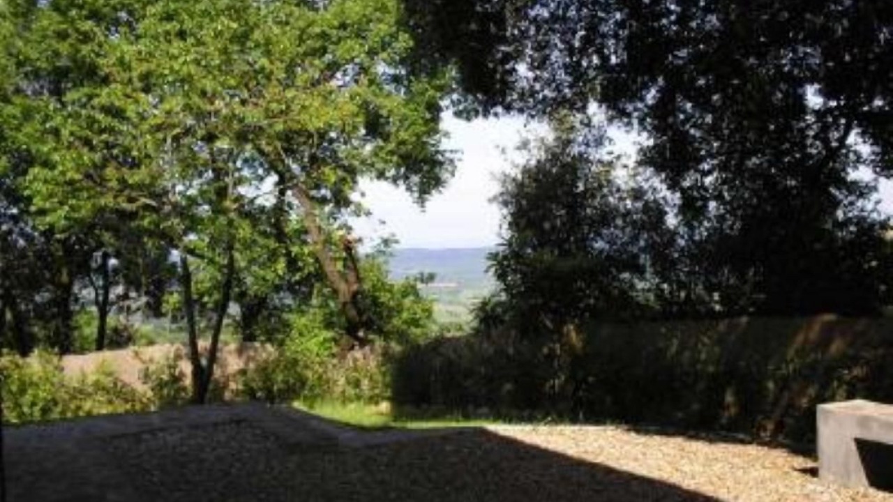 Photo of Others in Chiusdino