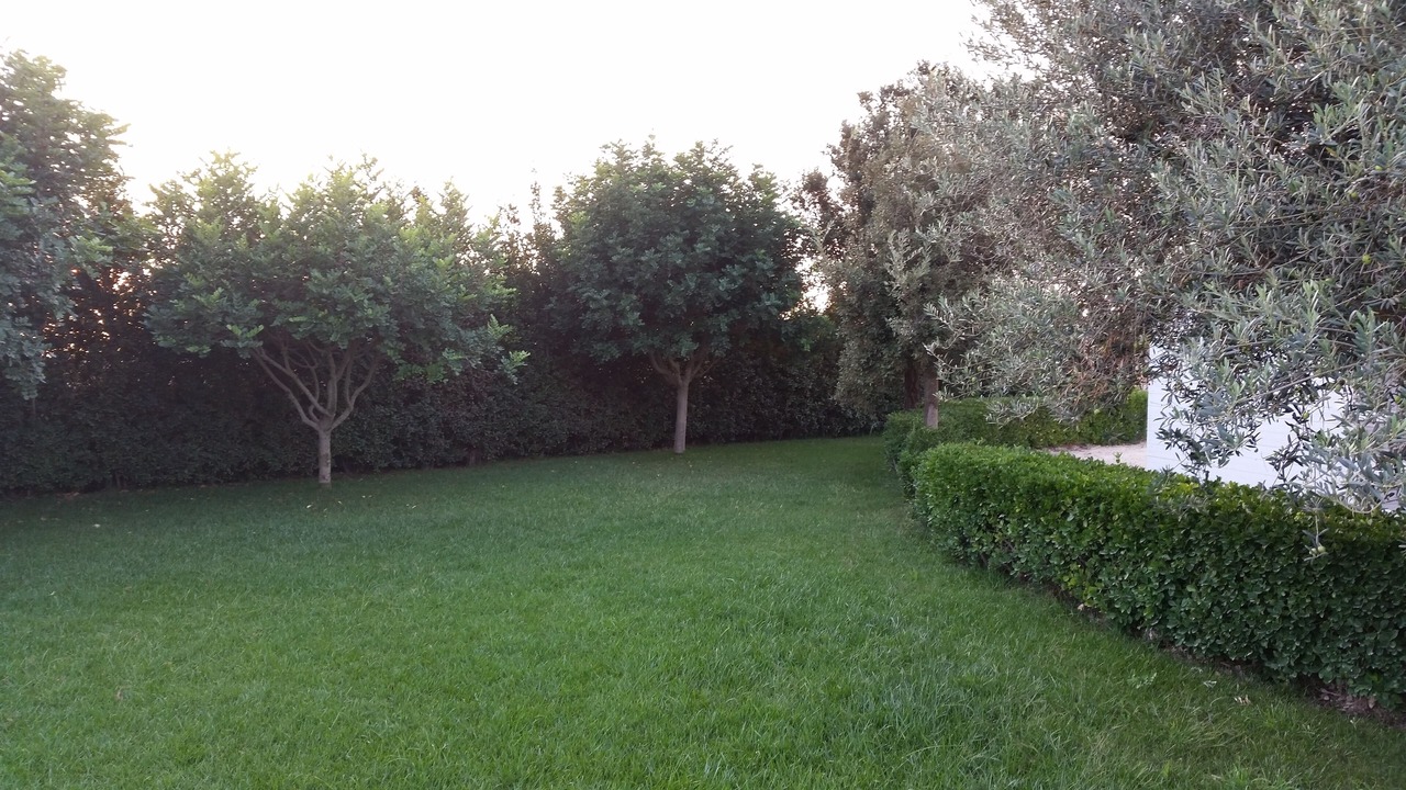 Photo of Outdoor in Ragusa
