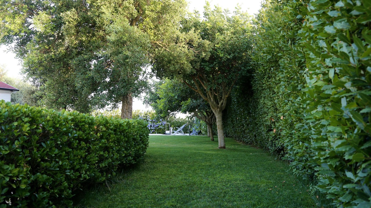 Photo of Outdoor in Ragusa