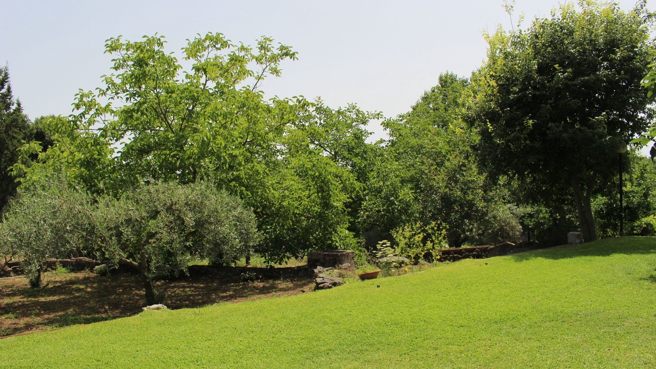Photo of Outdoor in Aci Bonaccorsi