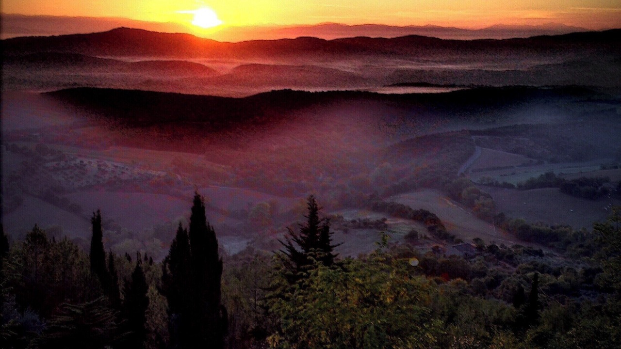 Photo of Others in Montegiove