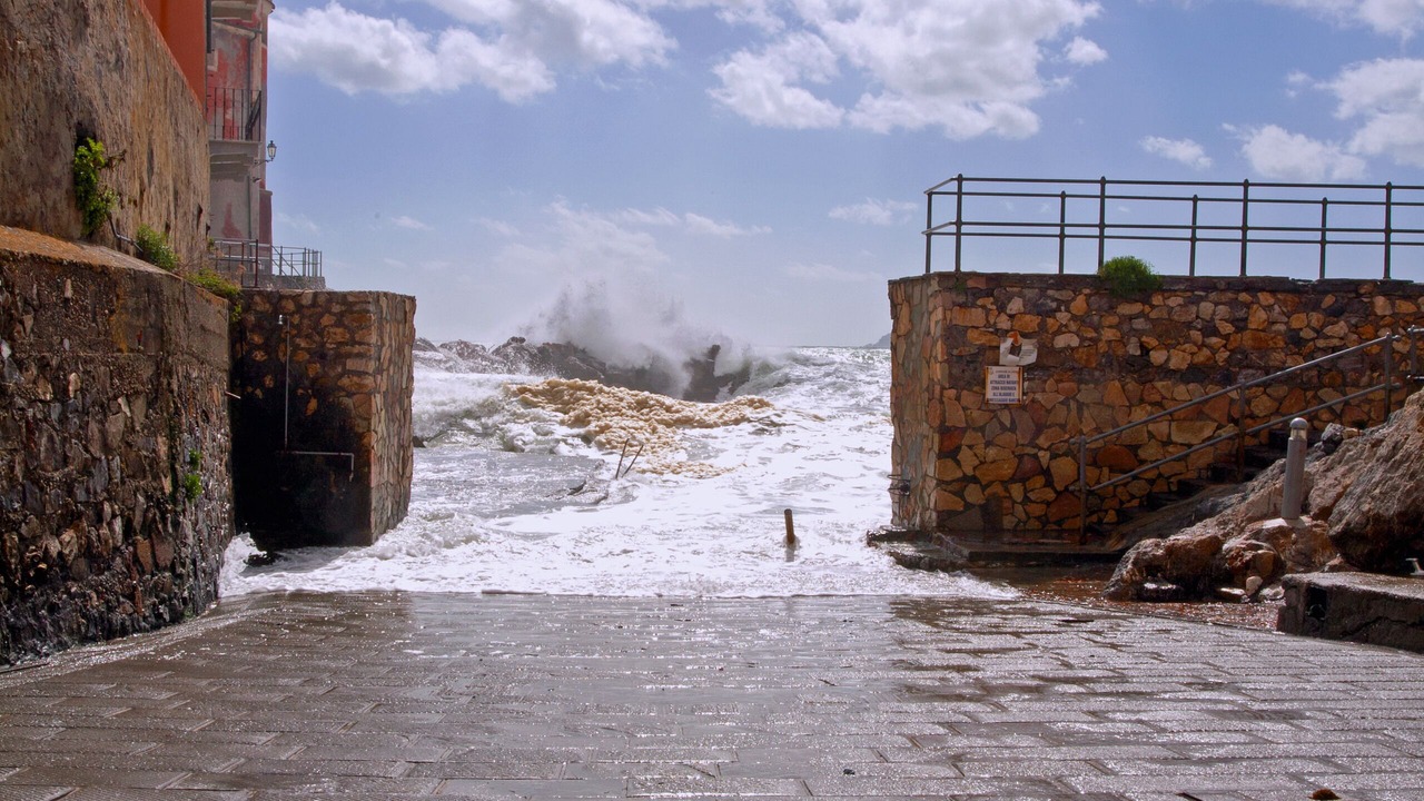 Photo of Others in Tellaro