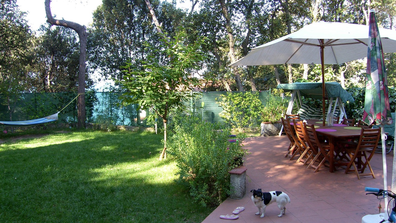 Photo of Outdoor in Tellaro