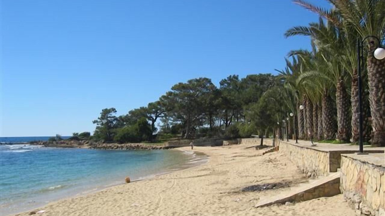 Photo of Others in Avsallar