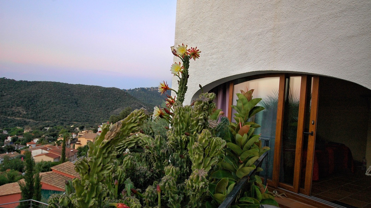 Photo of Outdoor in Calonge