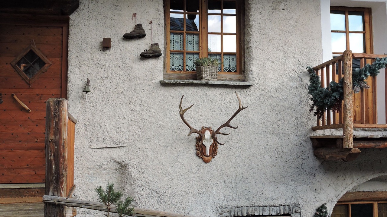 Photo of Outdoor in Plan