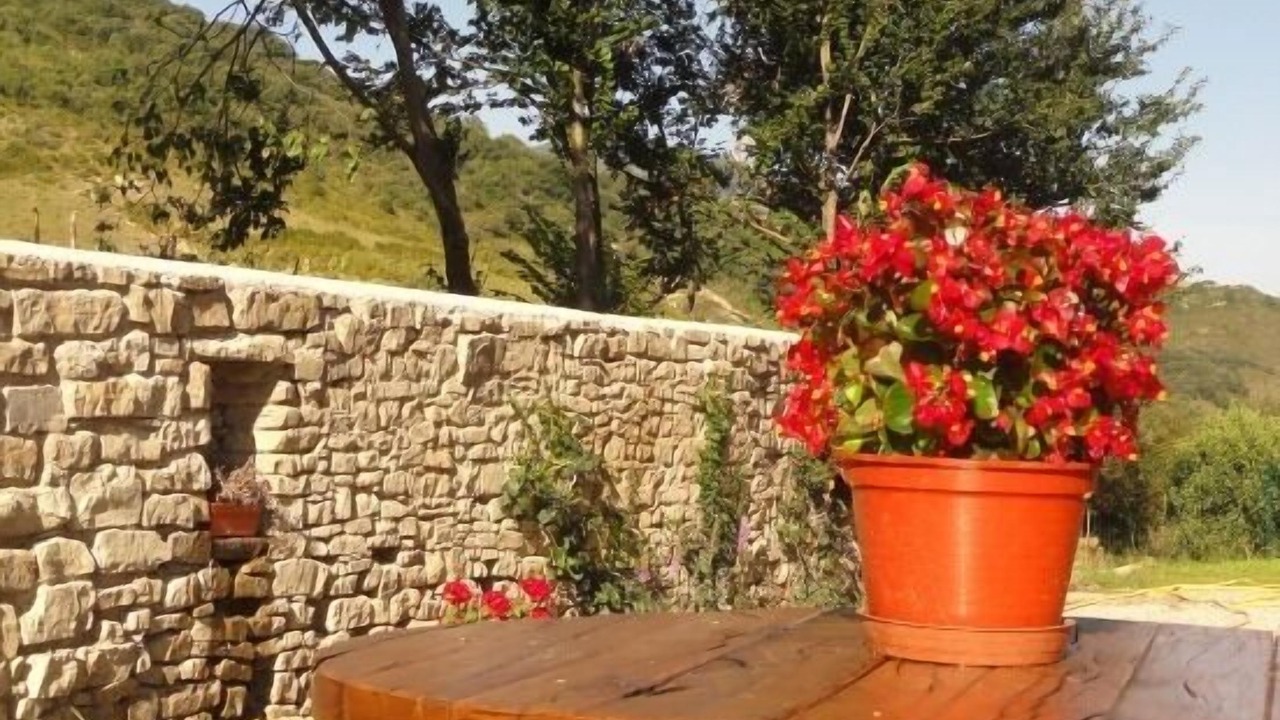 Photo of Outdoor in Urraul Bajo