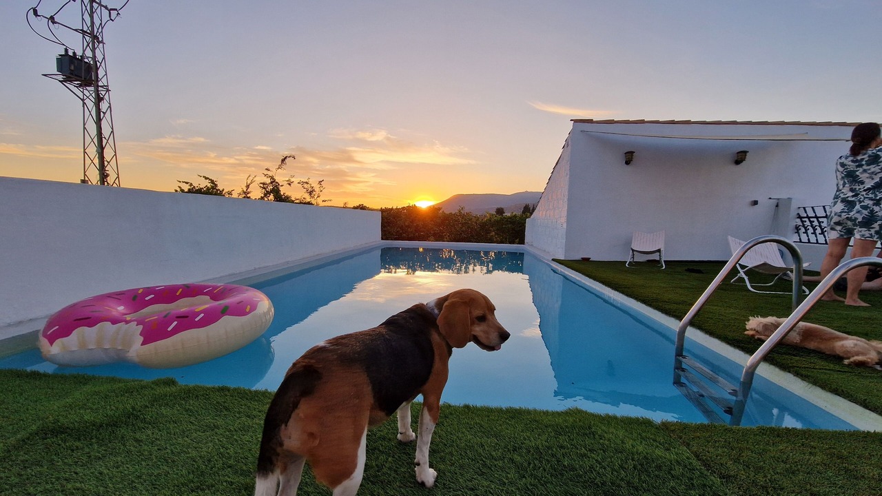 Photo of Outdoor in Valderrubio