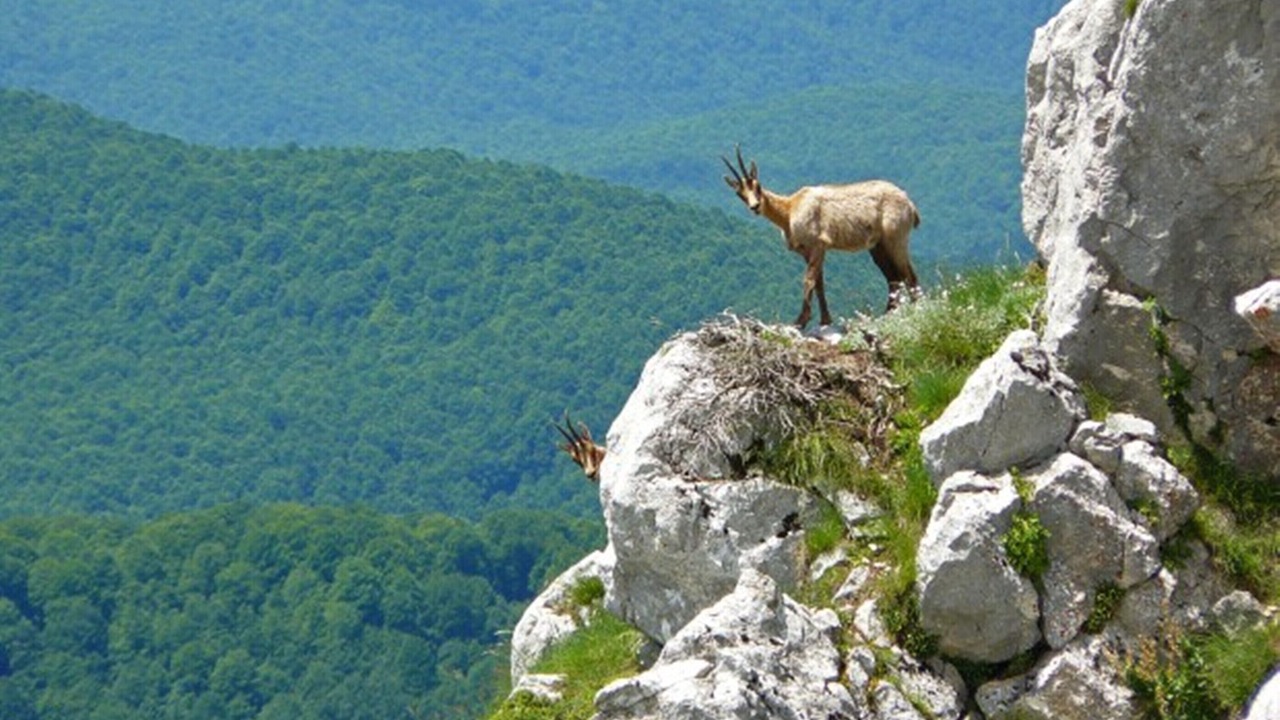 Photo of Outdoor in Catignano