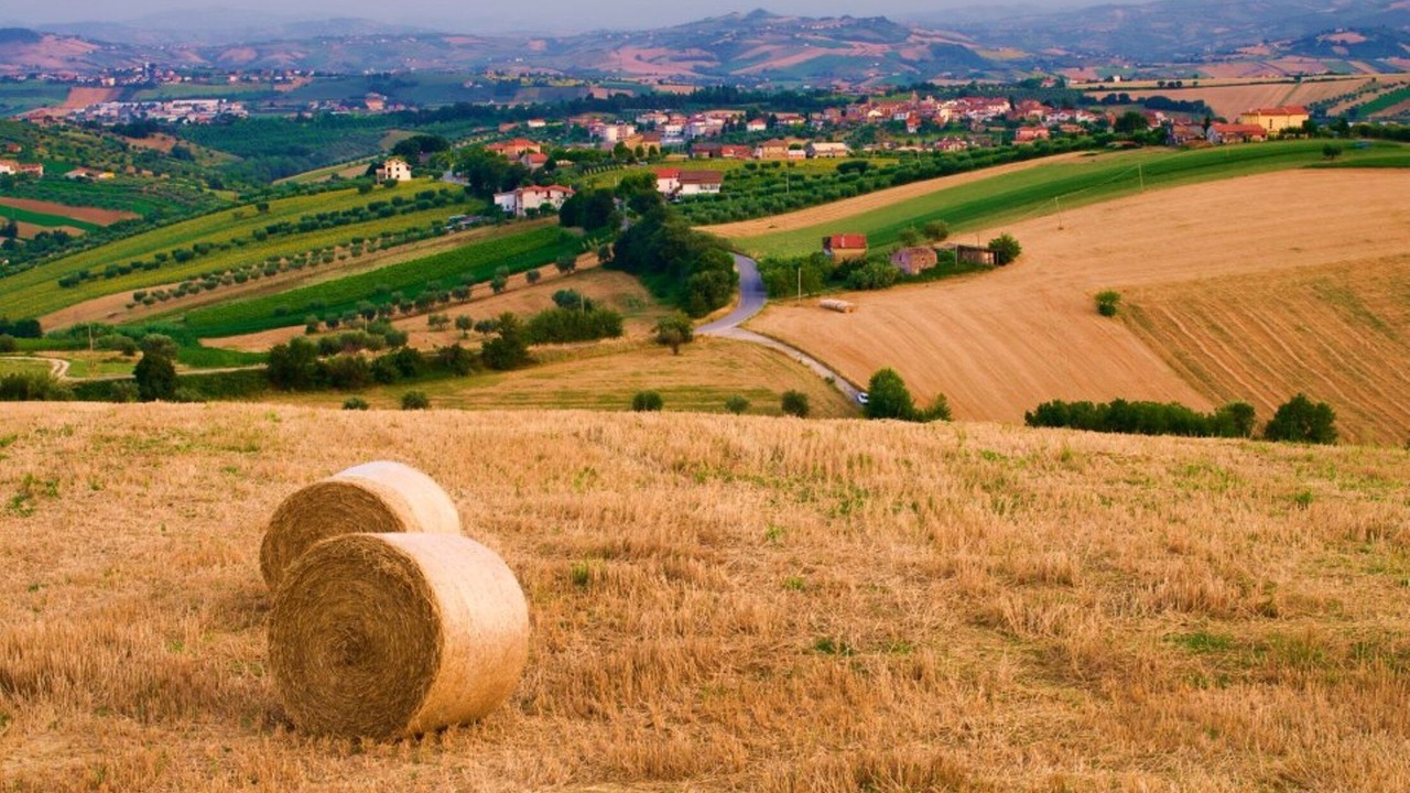 Photo of Others in Catignano