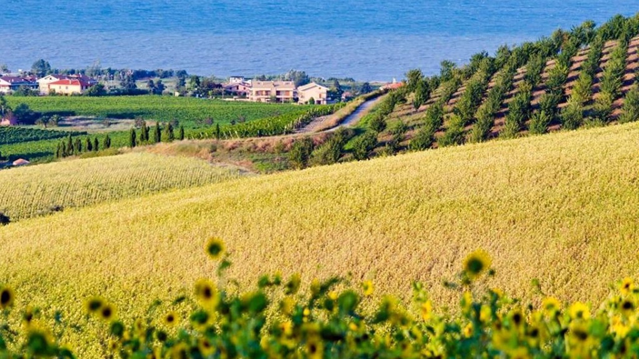 Photo of Outdoor in Catignano