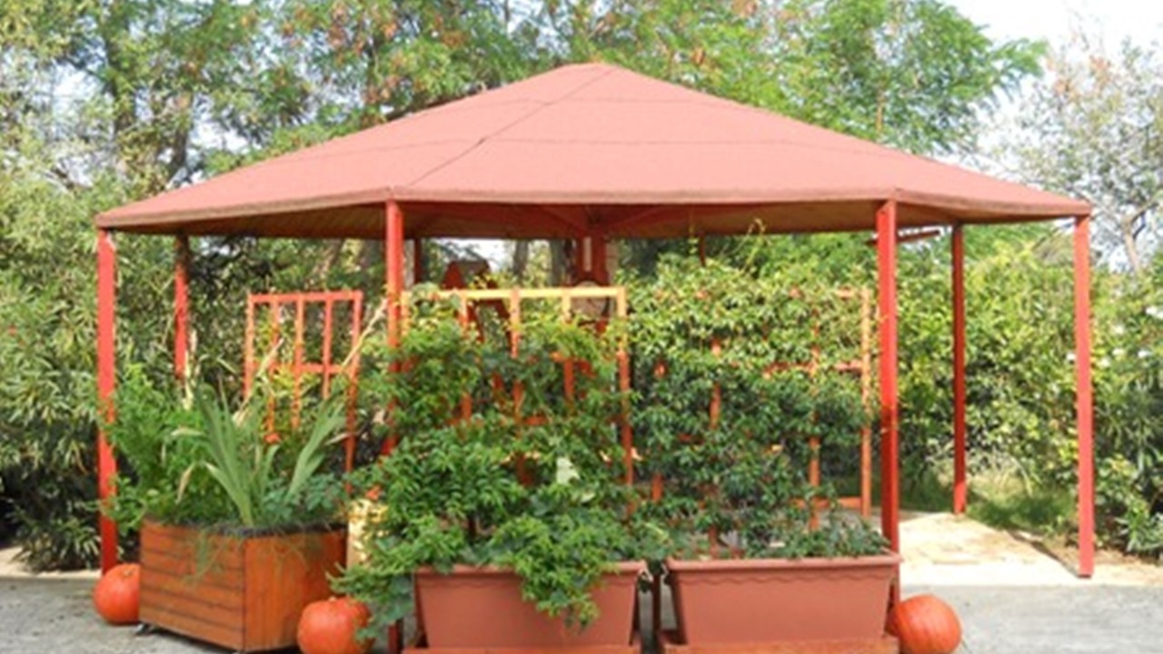 Photo of Outdoor in Catignano