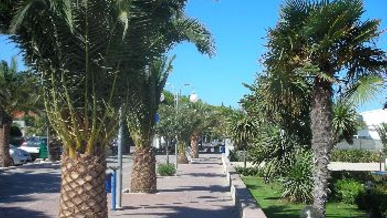 Photo of Outdoor in Catignano