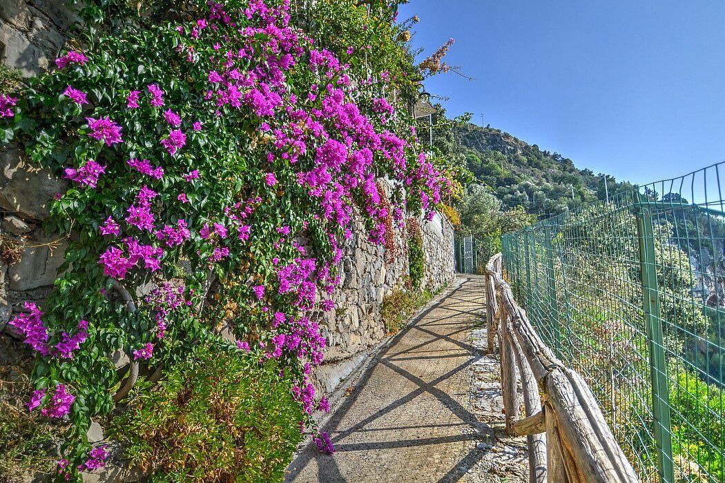 Photo of Outdoor in Arienzo