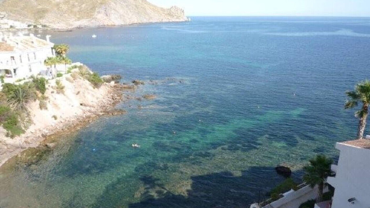 Photo of Others in Calabardina