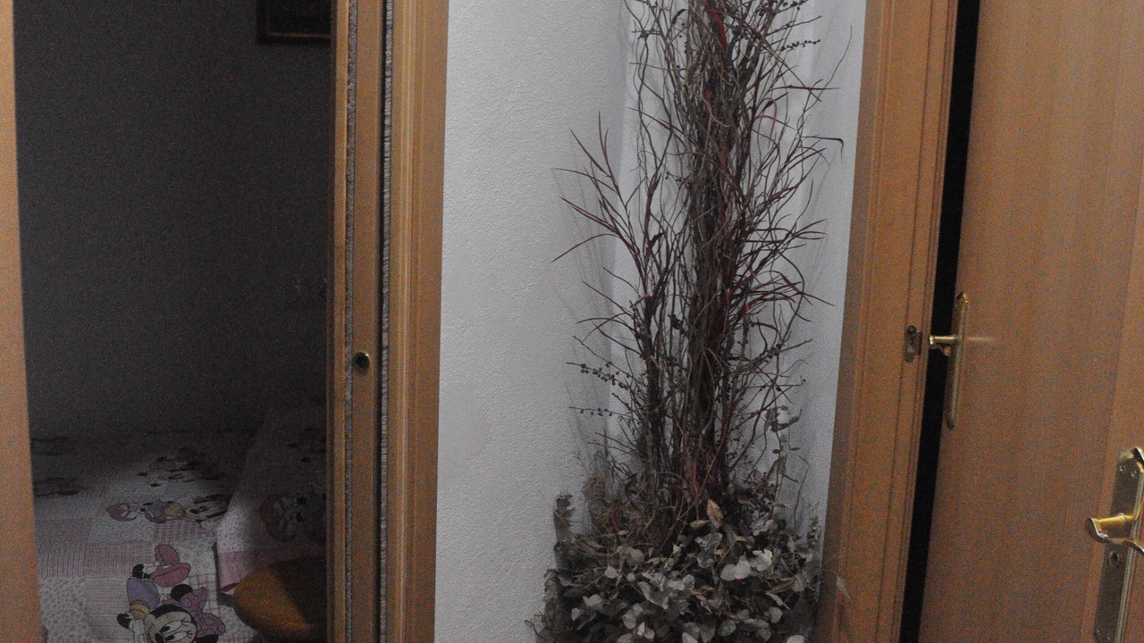 Photo of Bedroom in Alicante City Centre