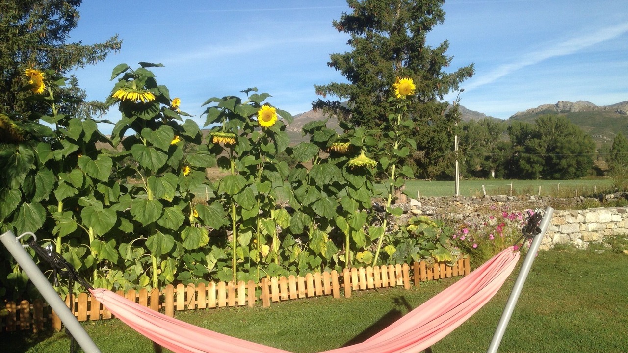 Photo of Outdoor in San Emiliano