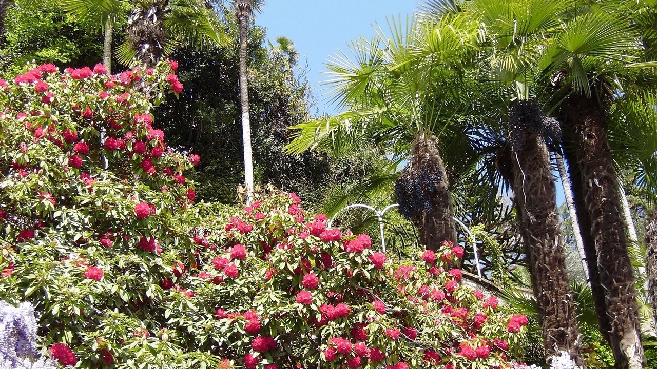 Photo of Outdoor in Orta San Giulio