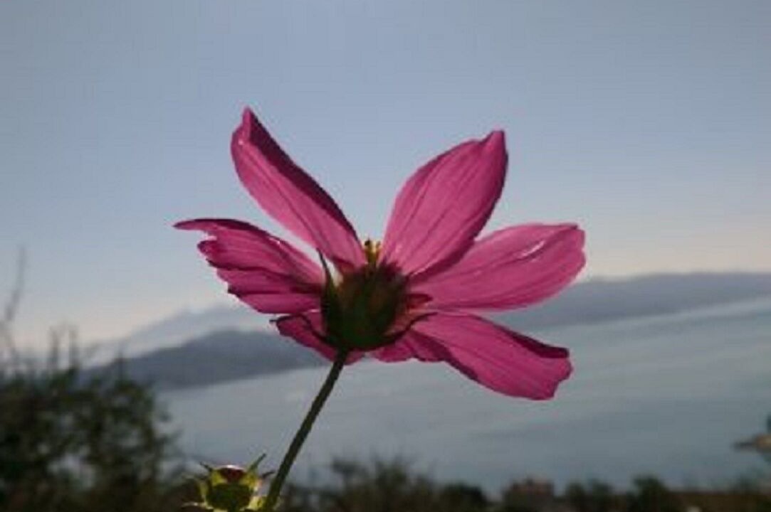 Photo of Outdoor in Cadimare