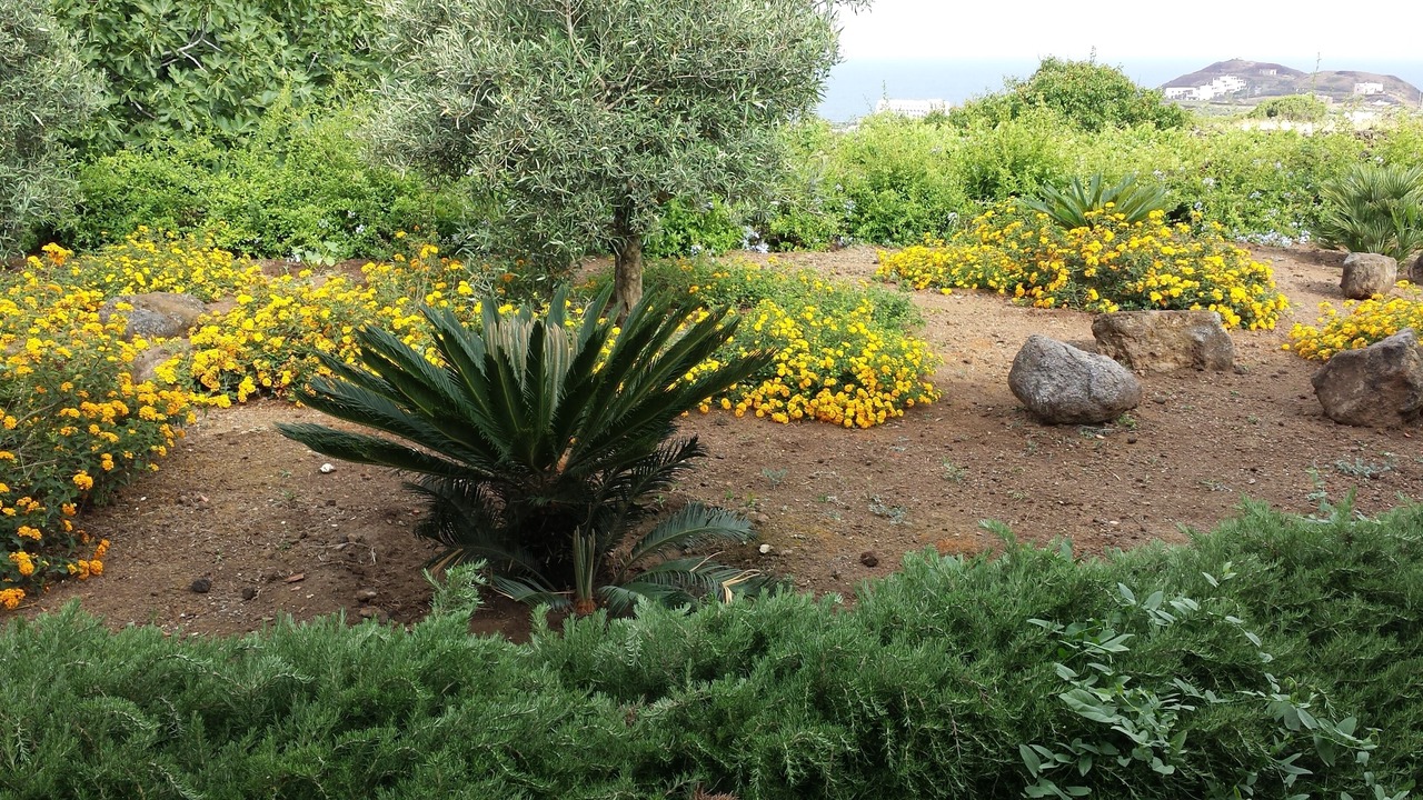 Photo of Outdoor in Pantelleria