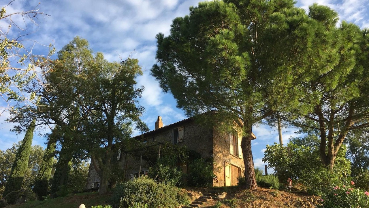 Photo of Outdoor in Celleno