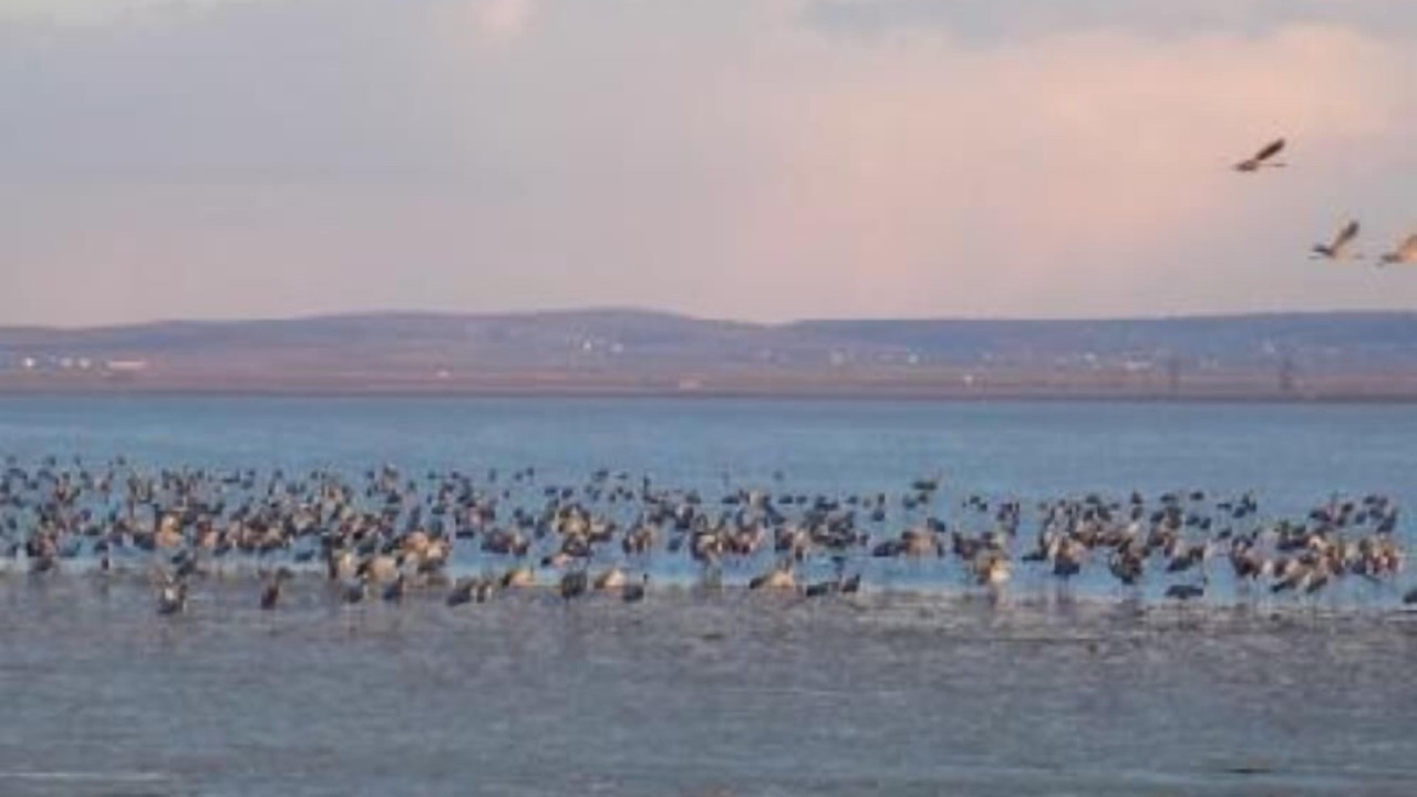 Photo of Outdoor in Gallocanta