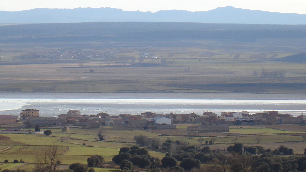 Photo of Others in Gallocanta