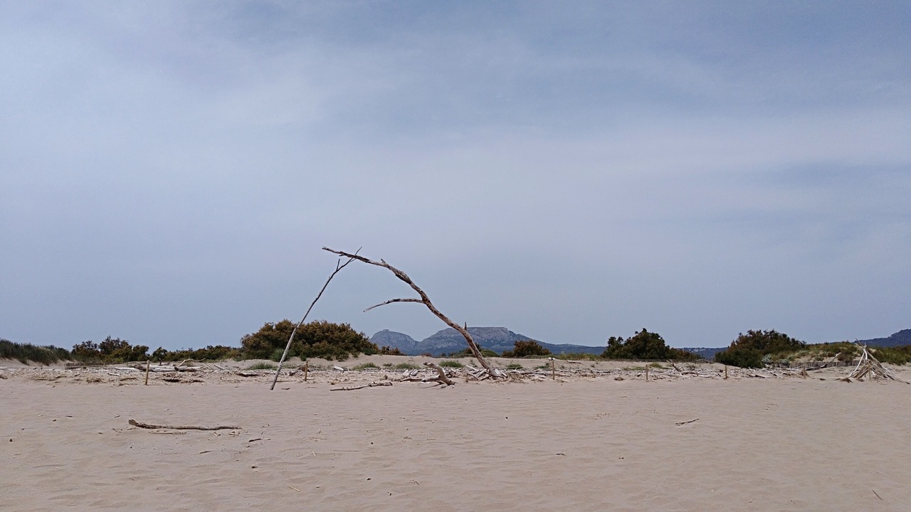 Photo of Others in Torroella de Montgri