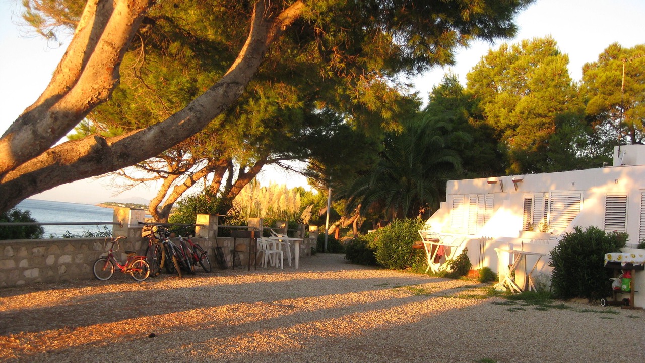 Photo of Patio Balcony in Calafat
