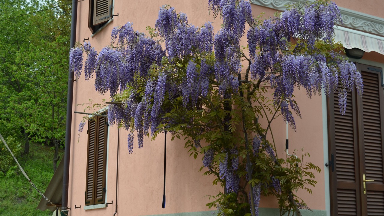 Photo of Outdoor in Castell'Alfero
