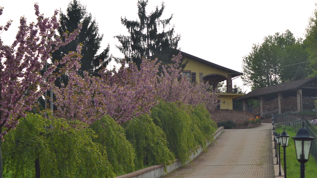 Photo of Outdoor in Castell'Alfero