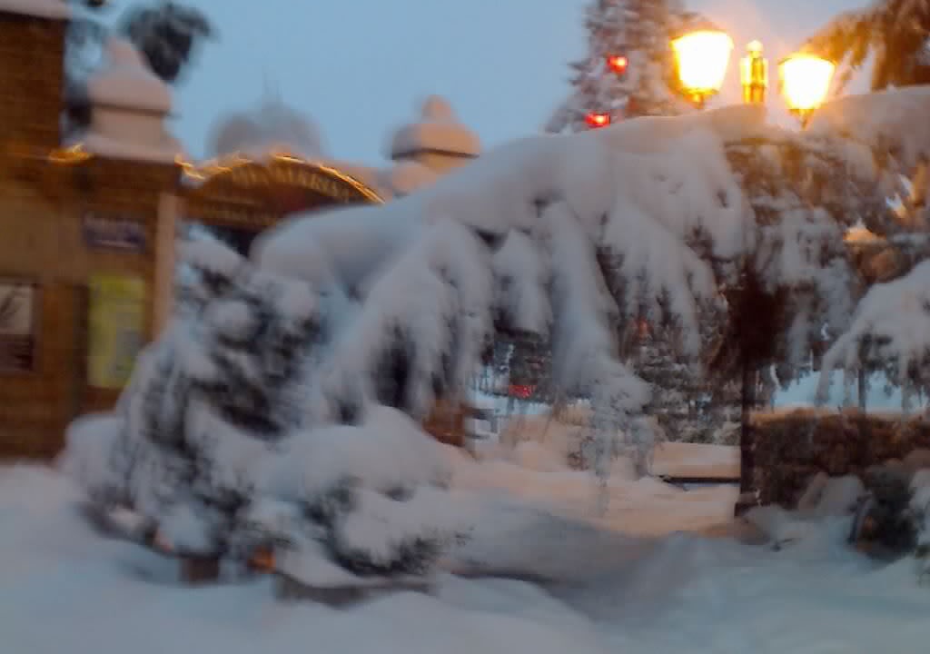Photo of Outdoor in Castell'Alfero