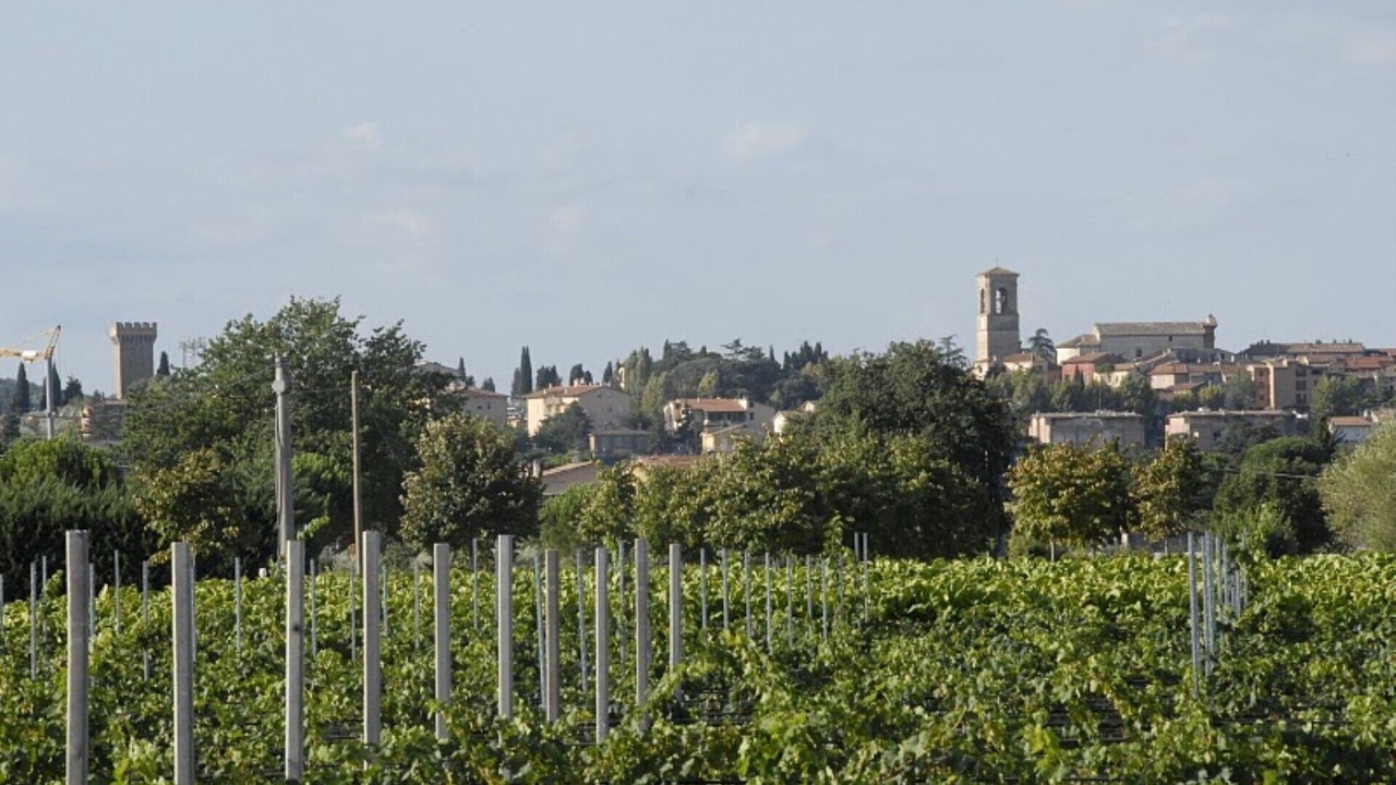 Photo of Outdoor in Torgiano