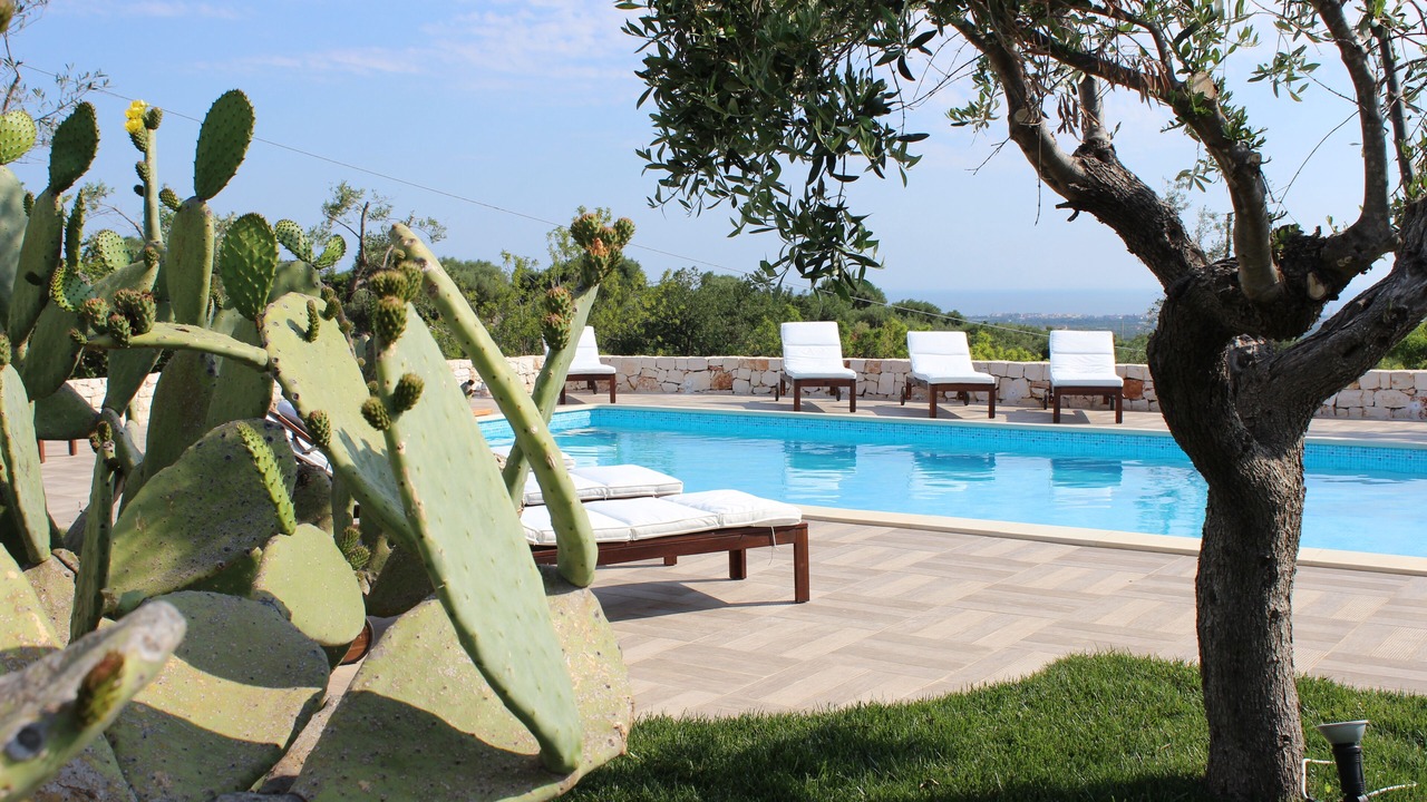 Photo of Outdoor in Santa Teresa