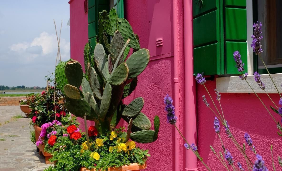 Photo of Outdoor in Burano