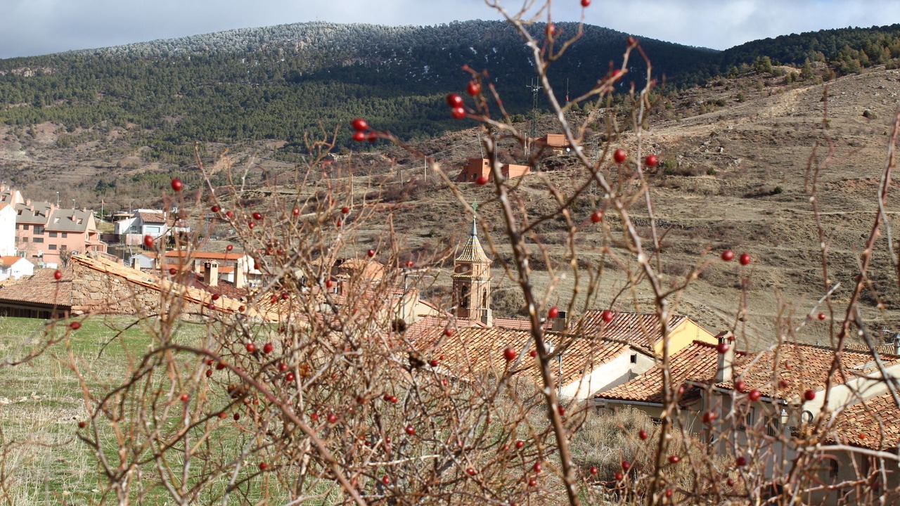 Photo of Outdoor in Camarena de la Sierra