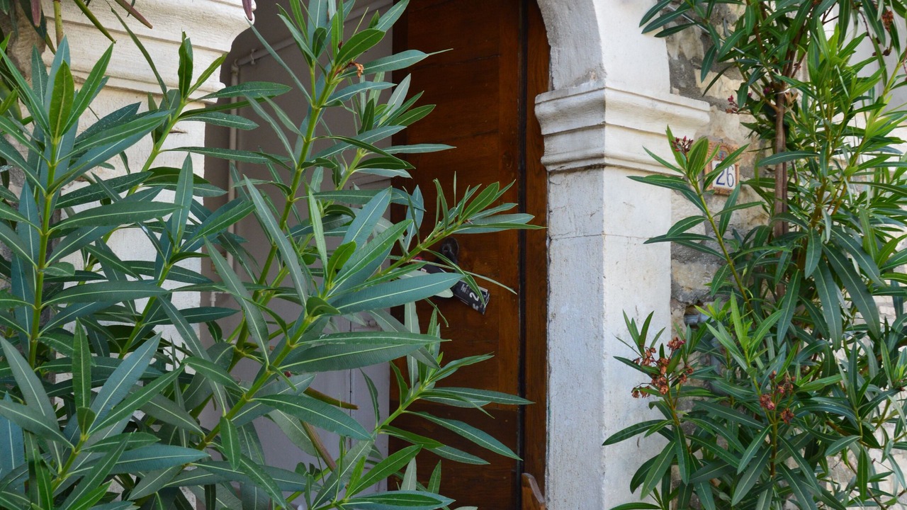 Photo of Outdoor in Campolattaro