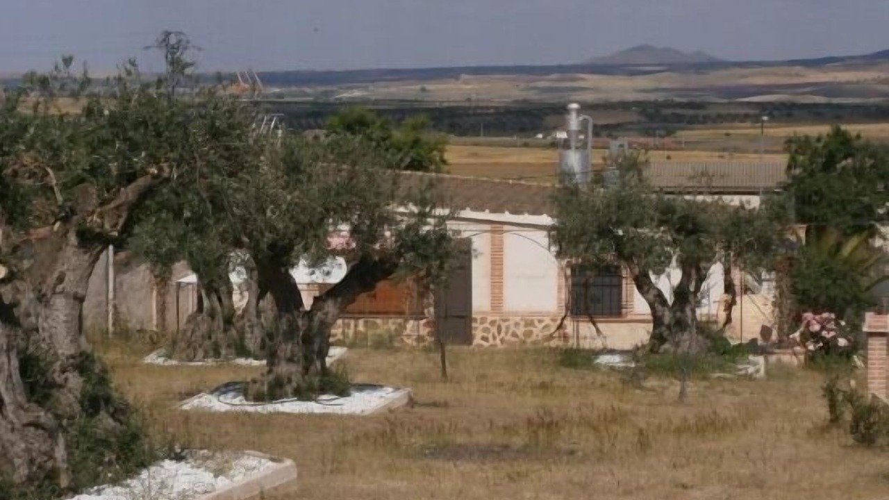 Photo of Outdoor in Noez