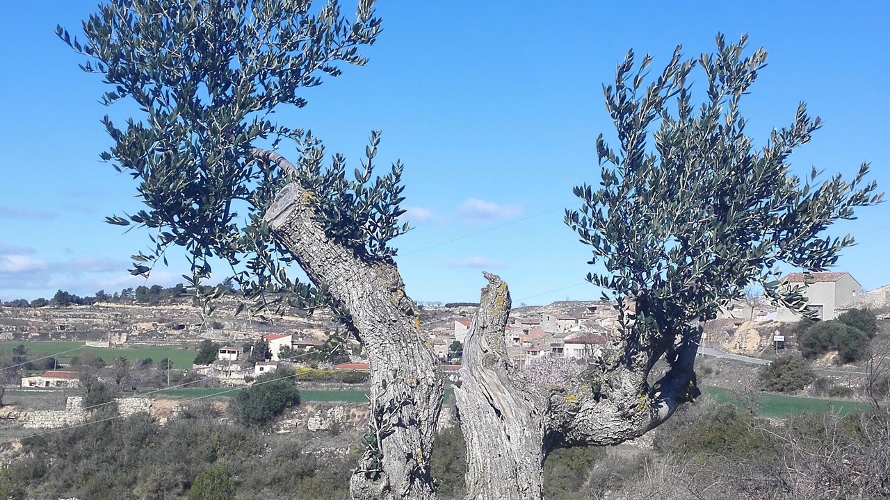 Photo of Outdoor in Fulleda