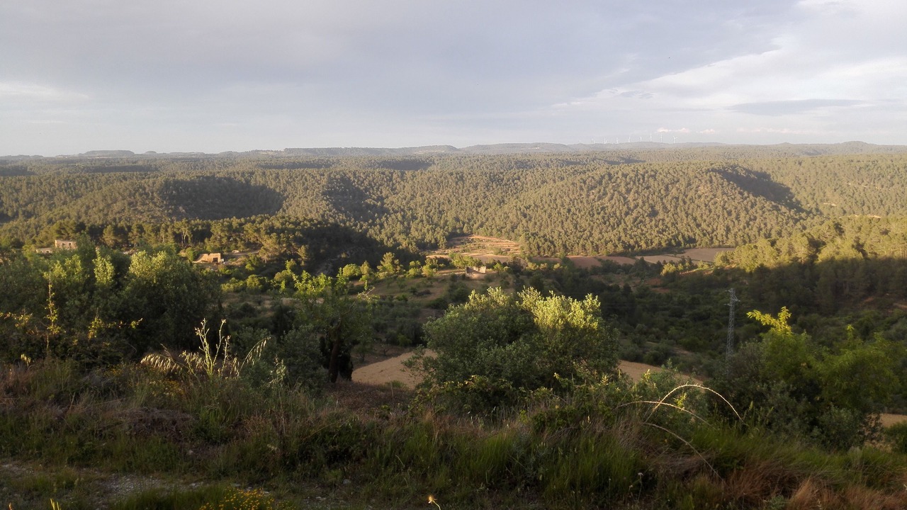 Photo of Outdoor in Fulleda