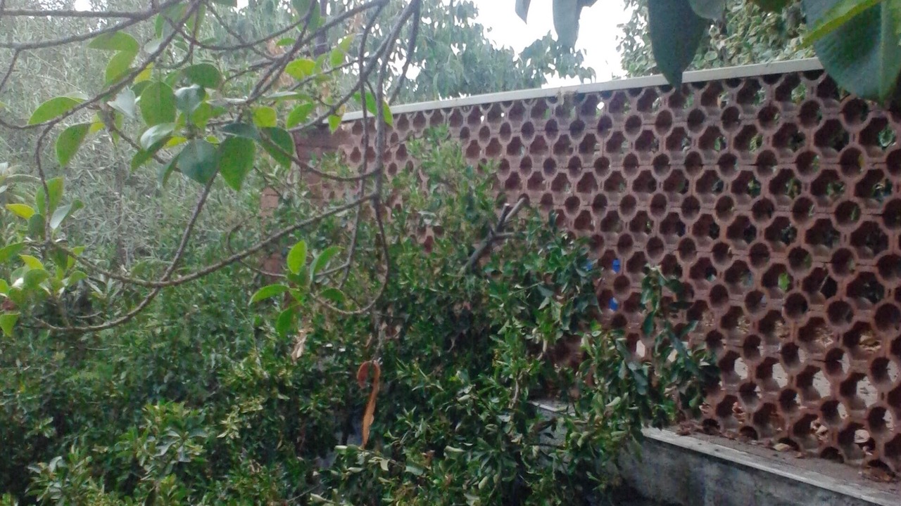 Photo of Outdoor in Scillichenti