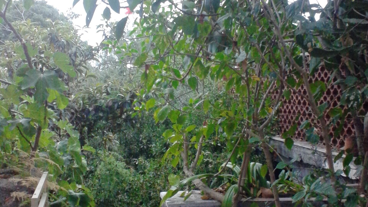 Photo of Outdoor in Scillichenti