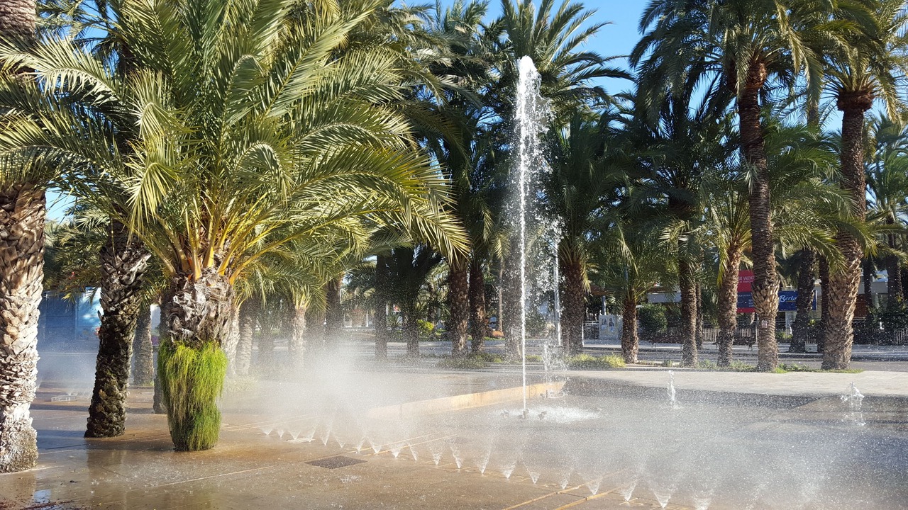 Photo of Outdoor in Algorfa