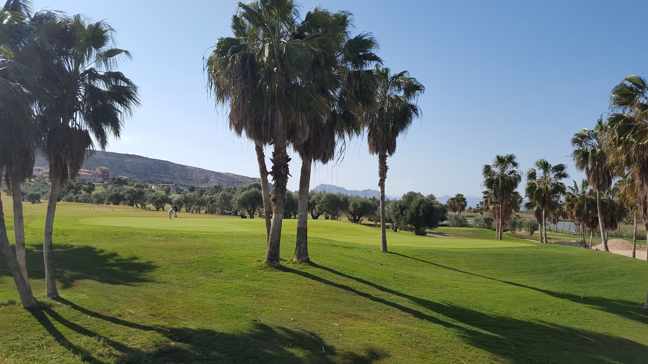 Photo of Others in Algorfa