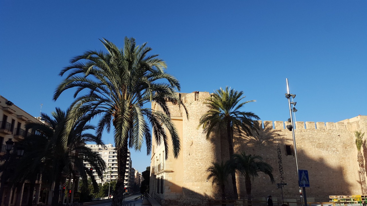 Photo of Outdoor in Algorfa