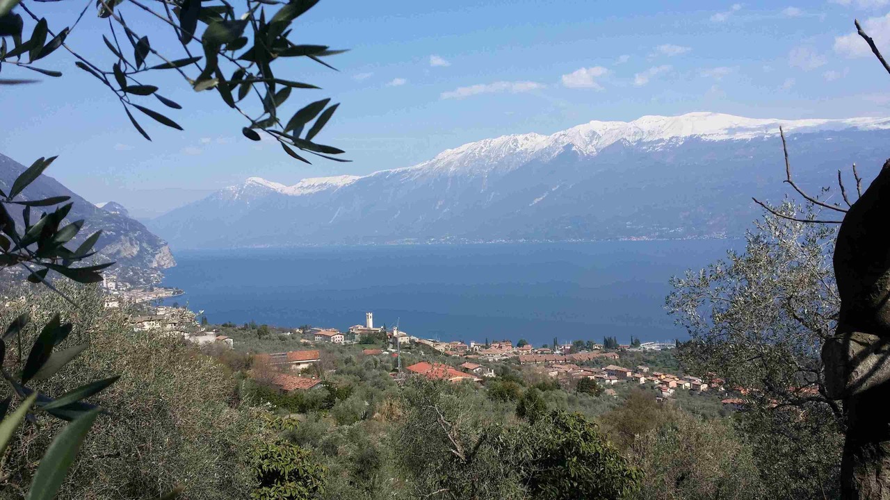 Photo of Others in Fornico